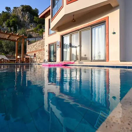 Olive Vista * 페티예