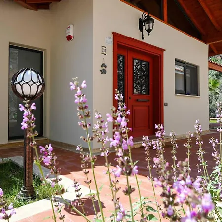 Olive Vista 빌라 *