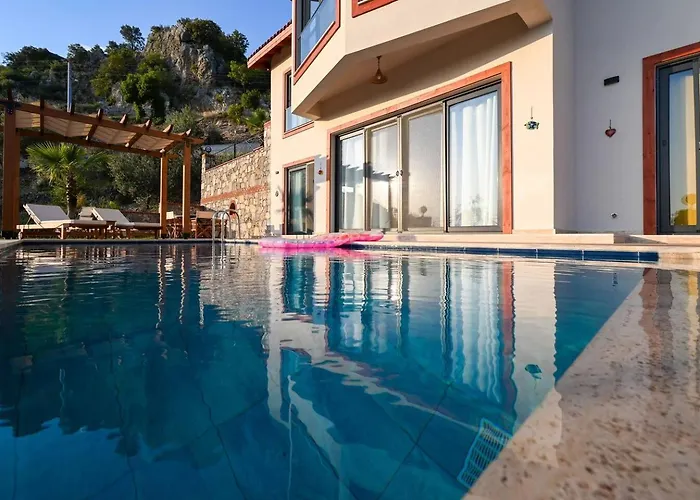 Olive Vista * 페티예