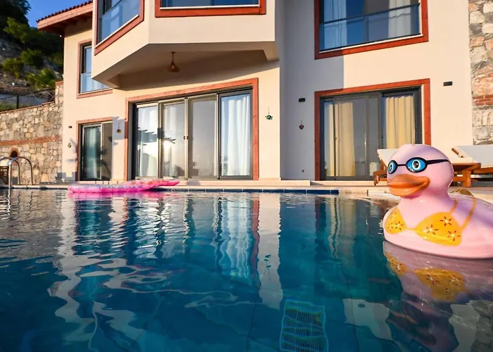 Olive Vista 페티예