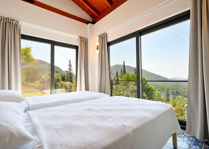 빌라 Olive Vista 페티예