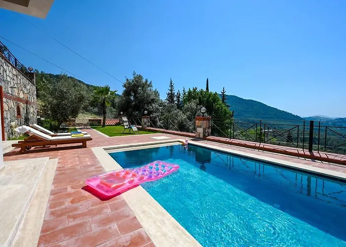 Olive Vista * 페티예