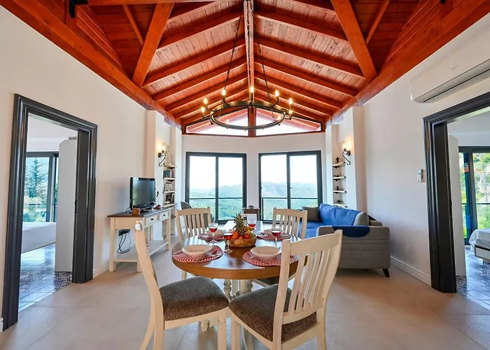 Olive Vista 페티예