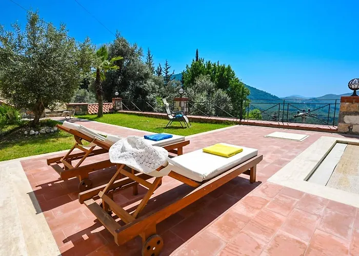 Olive Vista * 페티예