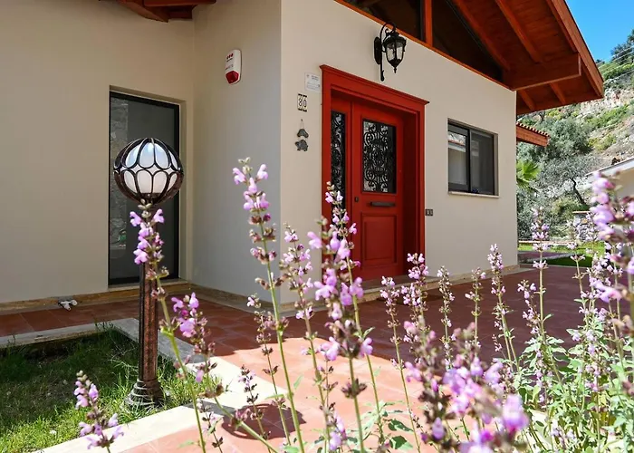 Olive Vista 빌라 *