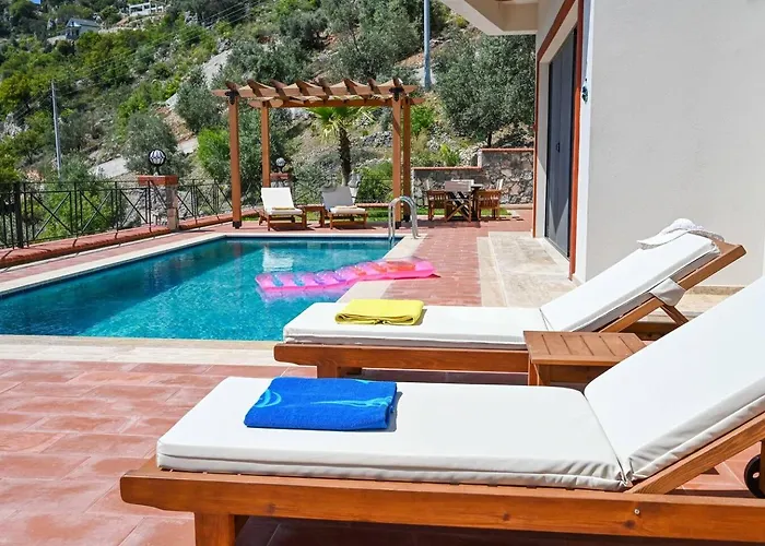 Olive Vista * 페티예