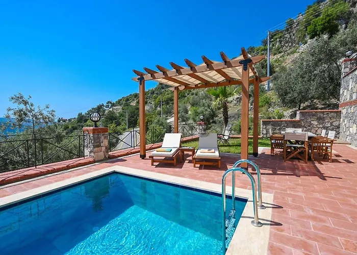 Olive Vista 페티예